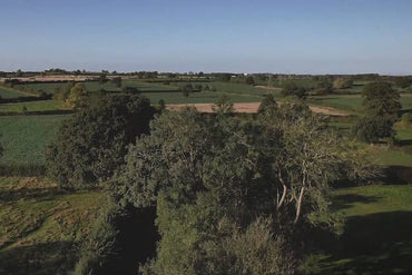 A short film about our environmental ethos and sustainability. - Sloemotion Distillery
