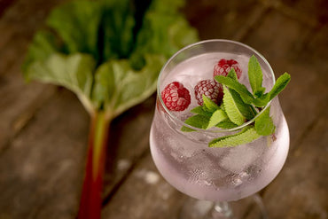 Hedgerow Rhubarb Raspberry the Best Gin in York - Sloemotion Distillery