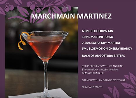 Marchmain Martinez - Sloemotion Distillery