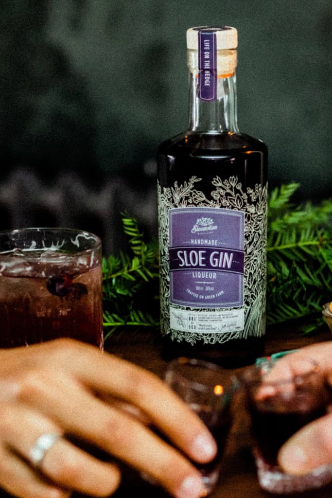 Sloe Gin - Sloemotion Distillery